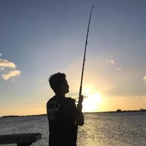 Meet your Posher, Walton